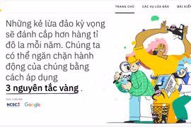 Giao diện trang web dauhieuluadao.com. (Ảnh chụp màn hình)