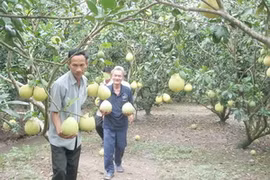 Ảnh minh họa.