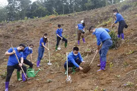 Trong các nội dung được thảo luận tại đại hội ngày 7/4, có chuyên đề Đoàn tham gia xây dựng nông thôn mới, bảo vệ môi trường và ứng phó với biến đổi khí hậu. (Ảnh: Nam Sương/TTXVN)