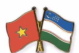 Ảnh minh họa. (Nguồn: crossed-flag-pins.com)