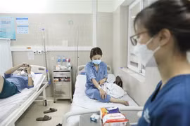 Ảnh minh họa. (Ảnh: Minh Quyết/TTXVN)