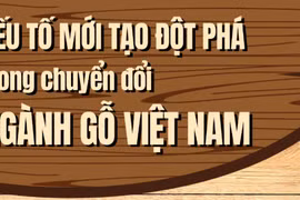 Ghế nhồi đệm: Yếu tố kỳ vọng tạo đột phá trong chuyển đổi ngành gỗ Việt Nam