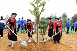 Người dân tỉnh Tuyên Quang hưởng ứng Đề án trồng một tỷ cây xanh. (Ảnh: Quang Cường/TTXVN)
