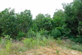 Ảnh minh họa. (Ảnh: Mạnh Khánh/TTXVN)