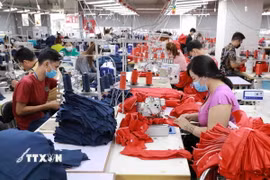 Doanh nghiệp may có vốn đầu tư FDI tại An Giang. (Ảnh minh họa: TTXVN)