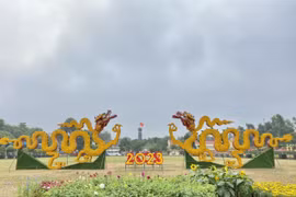 Ngày thơ Việt Nam sẽ diễn ra với 'Nhịp điệu mới' đặc sắc chưa từng có