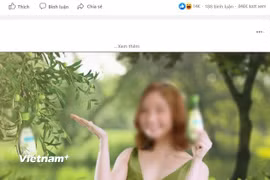 Thời gian gần đây, nhiều người nổi tiếng đã bị xử lý vì sai phạm trong hoạt động quảng cáo. (Ảnh minh họa: Vietnam+)