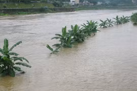 Ảnh minh họa. (Nguồn: TTXVN)