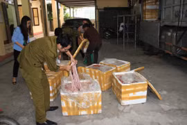 (Ảnh minh họa: Đức Phương/TTXVN)