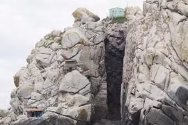 Một hang yến trên đảo trong Vịnh Nha Trang. (Ảnh: Tiên Minh/TTXVN)