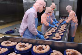 Cấp đông sản phẩm tôm xuất khẩu tại nhà máy của Tập đoàn Minh Phu Seafood Corp tại Khu công nghiệp Nam Sông Hậu (Hậu Giang). (Ảnh: Vũ Sinh/TTXVN)