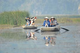 Du khách trong và ngoài nước tham quan khu bảo tồn thiên nhiên đất ngập nước Vân Long bằng thuyền. (Ảnh: Minh Đức/TTXVN)