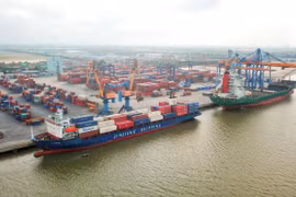 Bốc xếp hàng hóa container tại một cảng biển ở Việt Nam. (Ảnh: PV/Vietnam+)