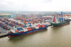 Các hãng tàu nước ngoài hiện đang phụ thu nhiều loại phí khiến các chủ hàng xuất khẩu gặp nhiều khó khăn về mức giá. (Ảnh: PV/Vietnam+)