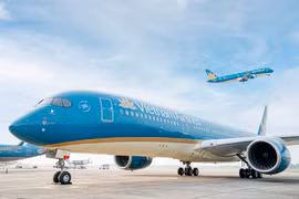 Máy bay của hãng hàng không Vietnam Airlines. (Ảnh: PV/Vietnam+)