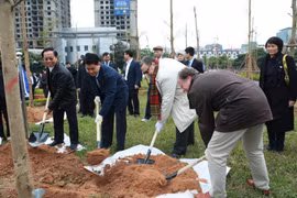 Chủ tịch Ủy ban Nhân dân thành phố Hà Nội Nguyễn Đức Chung và Đại sứ Phần Lan tại Việt Nam Kari Kahiluto tham gia trồng cây. (Ảnh: Nguyễn Cúc/TTXVN)