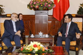 Phó Thủ tướng, Bộ trưởng Bộ Ngoại giao Phạm Bình Minh tiếp ông Alaeddin Boroujerdi, Chủ nhiệm Ủy ban Chính sách đối ngoại và An ninh quốc gia - Quốc hội Iran, Chủ tịch Nhóm Nghị sỹ hữu nghị Việt Nam-Iran. (Ảnh: Văn Điệp/TTXVN)