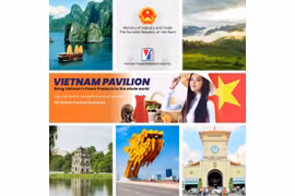 Cục Xúc tiến thương mại giới thiệu Gian hàng Việt Nam trên nền tảng thương mại điện tử Alibaba.com