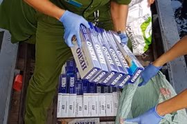 Lực lượng chức năng kiểm đếm số tang vật một vụ vận chuyển trái phép thuốc lá. (Ảnh: Công Mạo/TTXVN)
