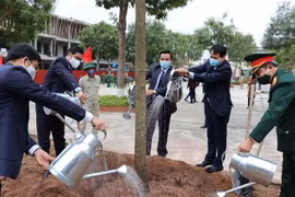 Nhiều địa phương đồng loạt phát động phong trào Tết trồng cây