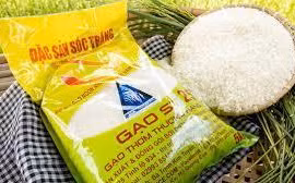 Gạo ST25 bị doanh nghiệp nước ngoài đăng ký thương hiệu tại Mỹ