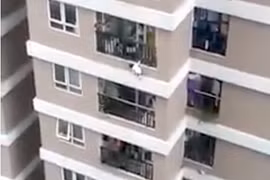 [Video] Bé gái may mắn thoát chết sau khi rơi từ tầng 12A