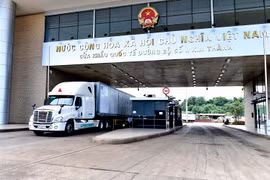 Ảnh minh họa. (Nguồn: Vietnam+)