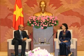 Chủ tịch Quốc hội Nguyễn Thị Kim Ngân tiếp ông Herminio Lopez Diaz, Đại sứ đặc mệnh Toàn quyền Cuba tại Việt Nam đến chào xã giao. (Ảnh: Trọng Đức/TTXVN)
