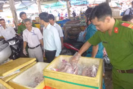 Đoàn kiểm tra liên ngành thị xã Đồng Xoà, Bình Phước phát hiện một kho chứa hơn 700kg thịt heo, thịt bò và nội tạng động vật bốc mùi ngày 10/5 vừa qua. (Ảnh: Nguyễn Văn Việt/TTXVN)