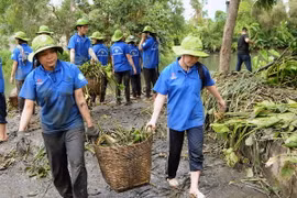 Hơn 300 thanh niên, sinh viên tình nguyện cùng tham gia vớt lục bình để khơi thông dòng chảy tại rạch Ông Tổng, quận Gò Vấp sau lễ ra quân. (Ảnh: An Hiếu/TTXVN)