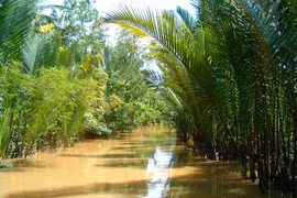 Ảnh minh họa. (Nguồn: tourcuatoi.vn)