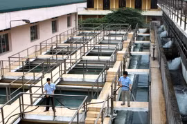 Sẽ dừng trạm Mỹ Đình 2 nếu chất lượng nước không cải thiện