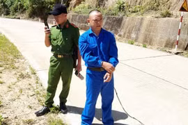 Chủ mưu vụ phá rừng bị cơ quan chức năng tạm giữ. (Ảnh: TTXVN phát)