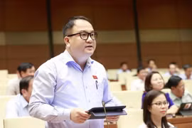 Đại biểu Quốc hội tỉnh Lạng Sơn Phạm Trọng Nghĩa phát biểu ý kiến. (Ảnh: Doãn Tấn/TTXVN)