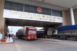 Hoạt động xuất nhập khẩu nhộn nhịp qua Cửa khẩu Quốc tế đường bộ số II Kim Thành, tỉnh Lào Cai. (Ảnh: Quốc Khánh/TTXVN)
