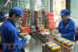 Đóng gói sản phẩm pin R20 tại Công ty Cổ phần Pin Hà Nội thuộc Tập đoàn Hóa chất Việt Nam. (Ảnh: Hoàng Hùng/TTXVN)