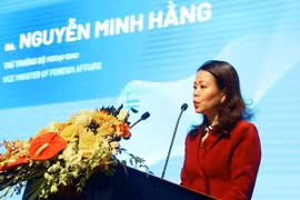 Thứ trưởng Bộ Ngoại giao Nguyễn Minh Hằng. (Ảnh: Lâm Khánh/TTXVN)