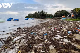 Khu vực bờ biển thôn An Vĩnh, xã Tịnh Kỳ, thành phố Quảng Ngãi, rác do sóng biển đánh vào bờ chất thành những đống lớn, bờ biển trở nên nhếch nhác, mất vệ sinh. (Nguồn: VOV)