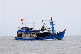 (Ảnh minh họa. Hồng Đạt/TTXVN)