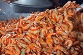 Tôm đất là nguyên liệu để làm tôm khô chủ sống trong môi trường tự nhiên nên chất lượng rất cao. (Ảnh: Huỳnh Anh/TTXVN)