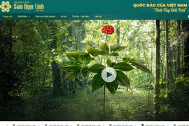 Trang chủ của Công ty cổ phần Tập đoàn Y dược sâm Ngọc Linh Việt Nam. (Nguồn: Vietnam+)