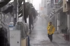Bão Trami mang theo mưa to gió lớn đổ bộ Naha, thủ phủ tỉnh Okinawa, Nhật Bản. (Nguồn: Kyodo/TTXVN)