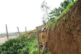 Đất canh tác của người dân gần hồ bùn đỏ số 2 Nhà máy Alumin Nhân Cơ bị sụt lún nghiêm trọng. (Ảnh: TTXVN phát)