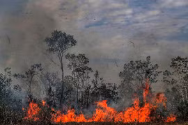 Trong ảnh: Khói lửa bốc cao trong vụ cháy rừng tại Amazonas,Brazil ngày 26/8. (Nguồn: THX/TTXVN)