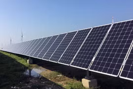 IEA: Công suất năng lượng tái tạo toàn cầu sẽ tăng 50% trong 5 năm tới