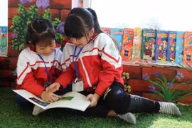 Ảnh minh họa. (Nguồn: TTXVN)