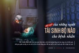 Một ngày của những người 'tái sinh' bộ não cho bệnh nhân