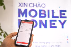 Ảnh minh họa. (Ảnh: Minh Sơn/Vietnam+)
