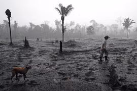 Một góc rừng Amazon ở gần Porto Velho, bang Rondonia, Brazil bị tàn phá do hỏa hoạn, ngày 26/8/2019. (Ảnh: AFP/TTXVN)