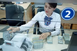 Ảnh chỉ có tính minh họa. (Nguồn: Vietnam+)